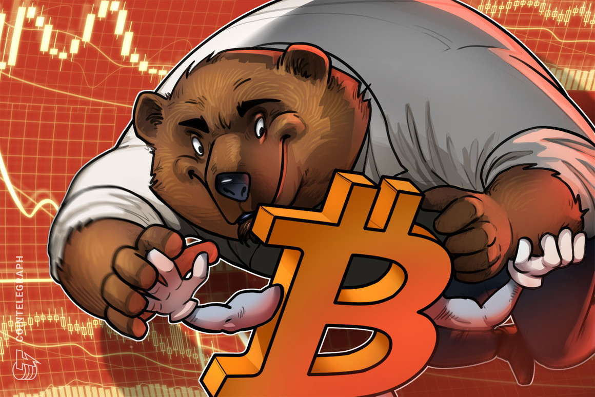 Despite ‘worst bear market ever,’ Bitcoin has become more resilient?