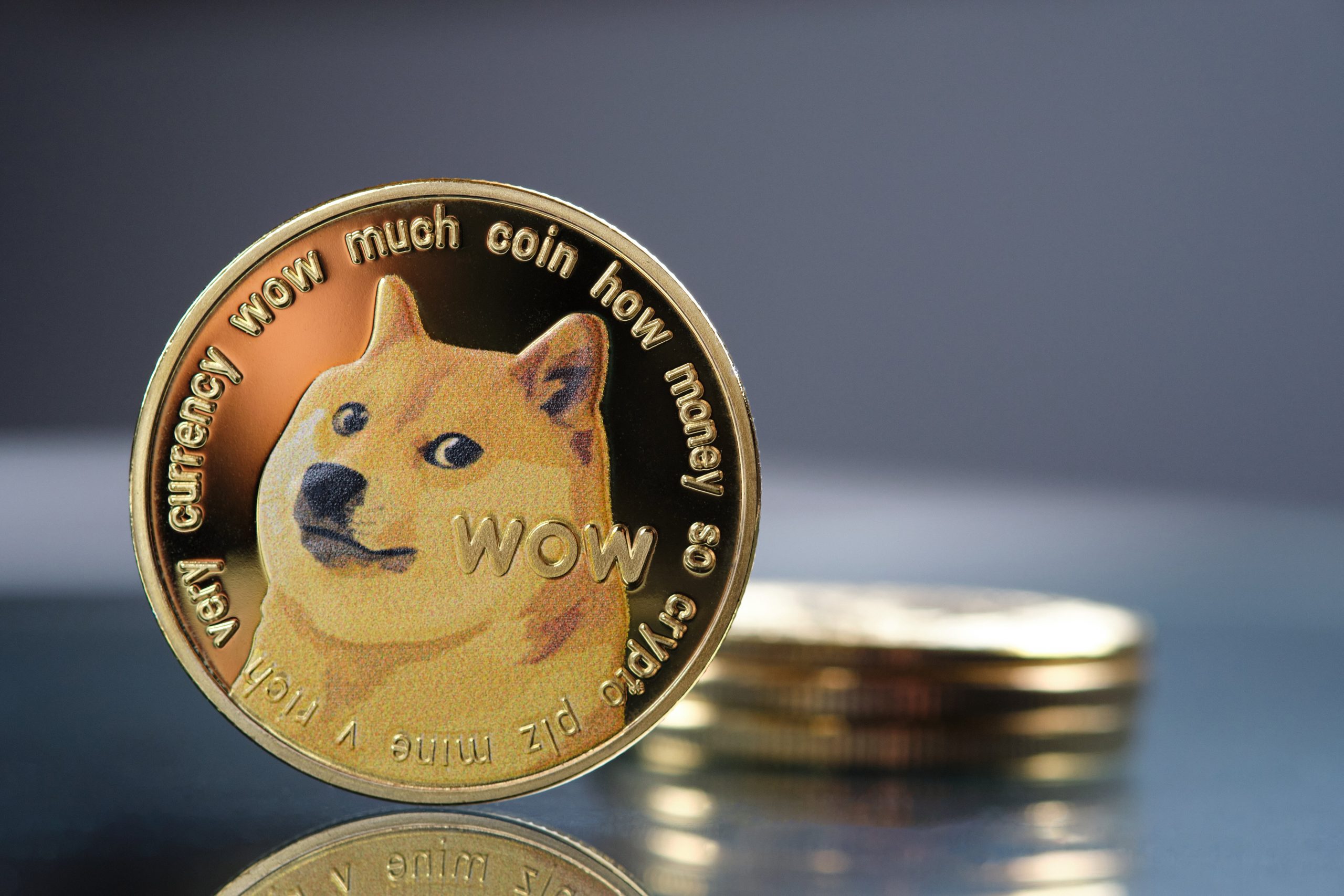 Dogecoin Price Prediction as Price Shoots Up 100% in a Week
