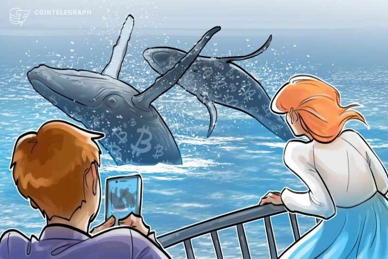 Bitcoin whale transactions see ‘noticeable’ drop since March price peak