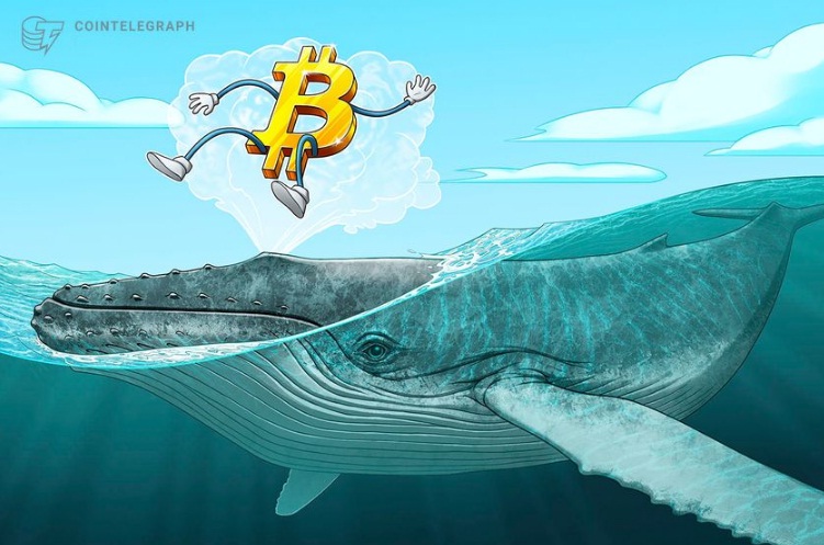 'Ancient' Bitcoin whale moves more BTC mined from 2009: Arkham